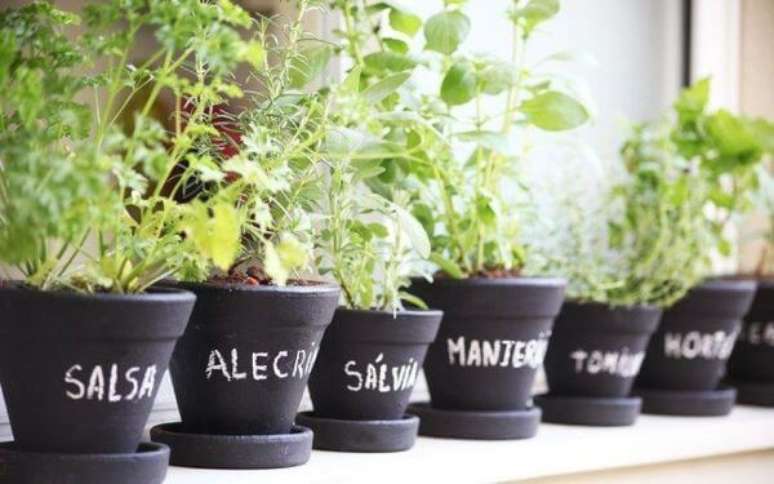 45. Coloque o nome das plantas nos vasos da sua horta no quintal – Via: Pinterest