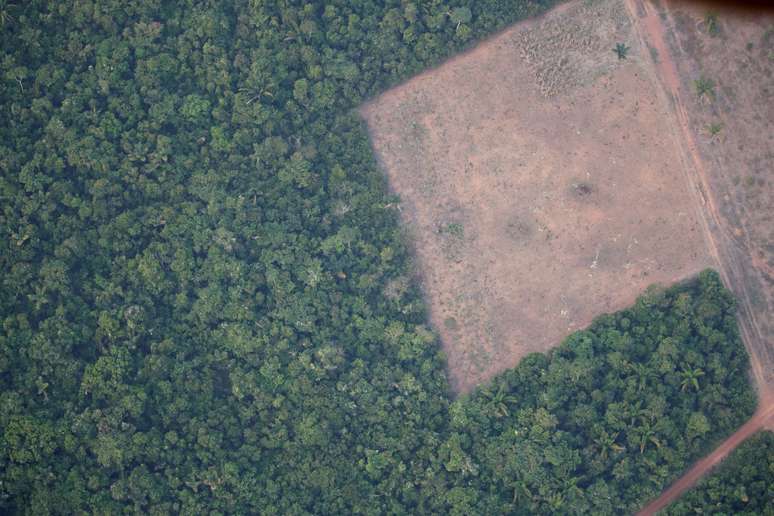 Desmatamento da floresta amazônica em Rondônia
21/08/2019
REUTERS/Ueslei Marcelino