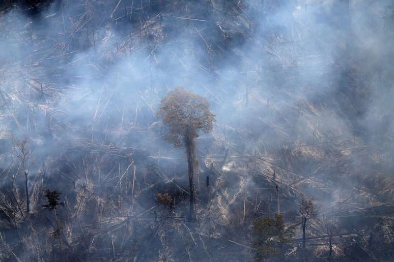 Vista aérea de área queimada da floresta amazônica
26/09/2019
REUTERS/Ricardo Moraes 