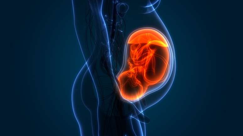 Por d&eacute;cadas, especialistas desconheceram o impacto que medicamentos teriam dentro do &uacute;tero