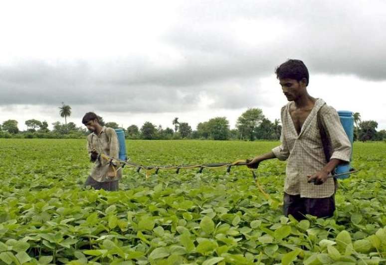 Agricultores aplicam inseticidas em cultivo de soja em Kurana, Índia 
18/08/2004
REUTERS/Raj Patidar