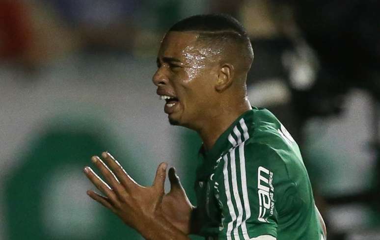 Gabriel Jesus marcou seu primeiro gol na carreira há exatamente cinco anos (Cesar Greco/Agência Palmeiras)