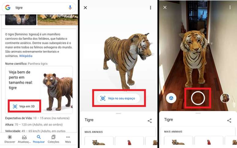 ANIMAIS 3D do GOOGLE não aparece (RESOLVA AGORA) 