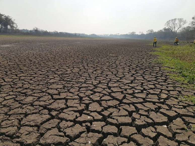 N&atilde;o chove h&aacute; meses e &aacute;reas normalmente alagadas est&atilde;o secas no Pantanal do Mato Grosso do Sul.