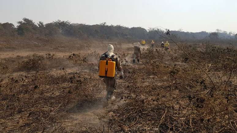 Bombeiros combatem incêndios em áreas de mata do Pantanal, em Corumbá, Mato Grosso do Sul. Região tem recorde de queimadas em 22 anos.