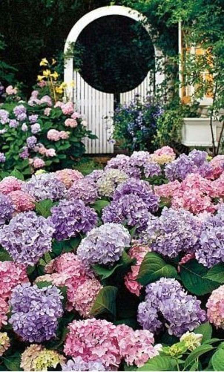 44. Jardim com flor roxa hort&ecirc;nsia &ndash; Via: Um Jardim para Cuidar