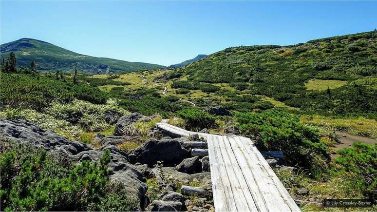 Tábuas de madeira protegem a flora alpina, além de demarcar o caminho