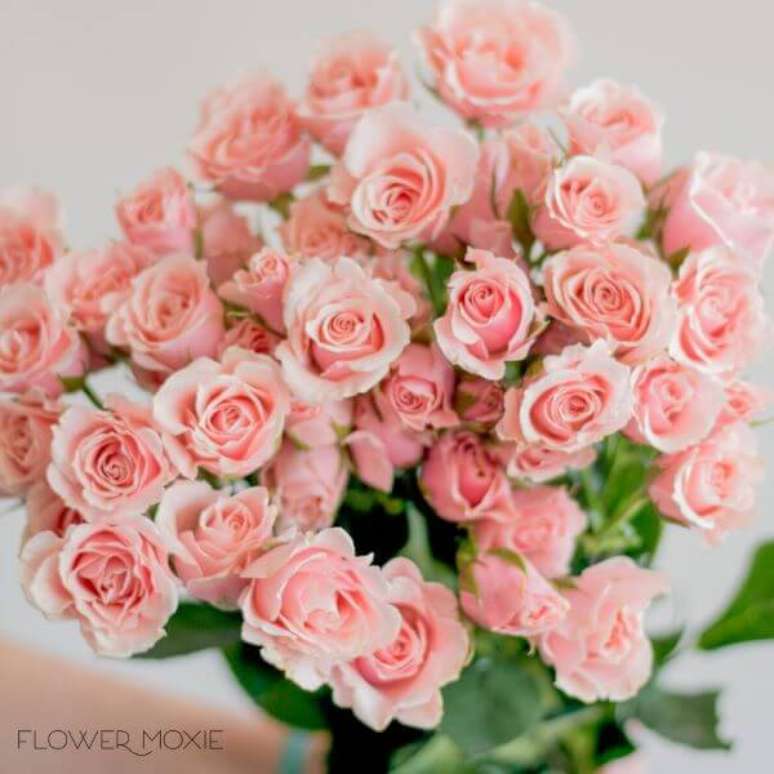 23. A flor rosa no tom cor de rosa é feminino e lindo – Via: Flower moxie