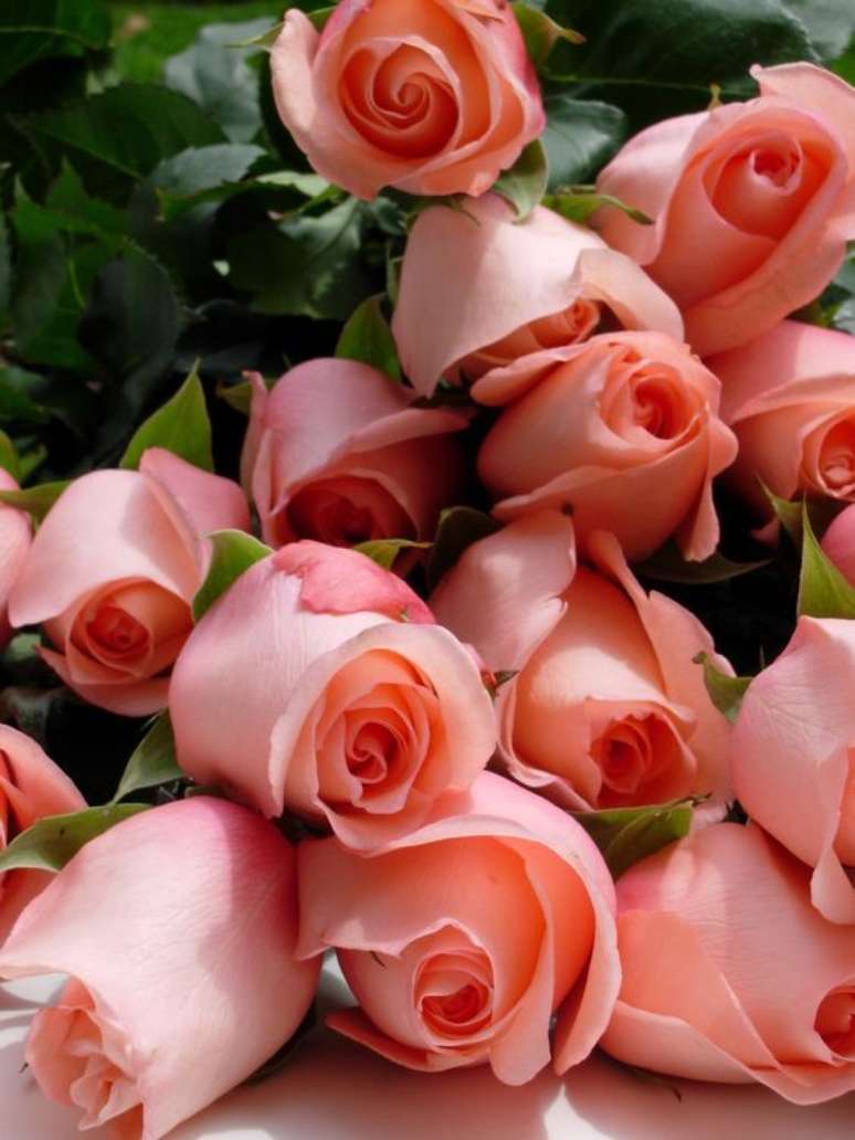 25. Flor rosa em tons claros – Via: Pinterest