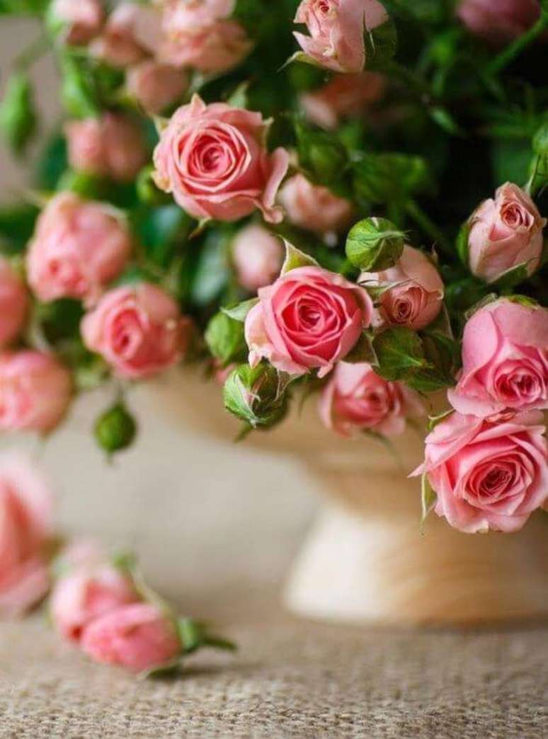 7. A mini rosa é delicada para compor lindos vasos decorativos – Via: Universalog