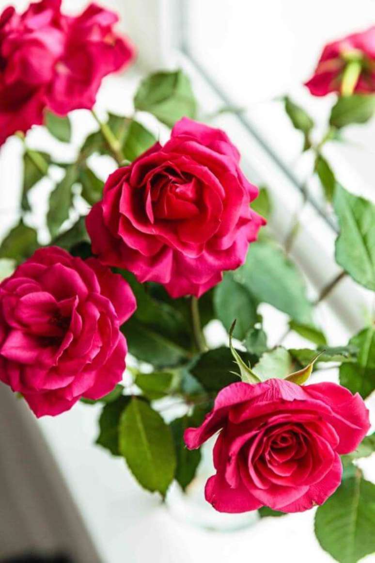 50. Rosa pink para decorar a casa – Via: Growing Family