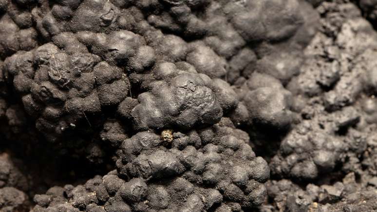 N&oacute;dulos de mangan&ecirc;s, uma das riquezas encontradas no fundo do oceano e cuja demanda ser&aacute; maior na ind&uacute;stria do futuro