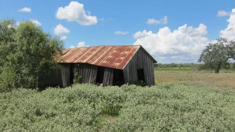 Construção abandonada de meeiros sobre o que costumava ser a plantação de Weisiger e onde William Ellis nasceu no sul do Texas