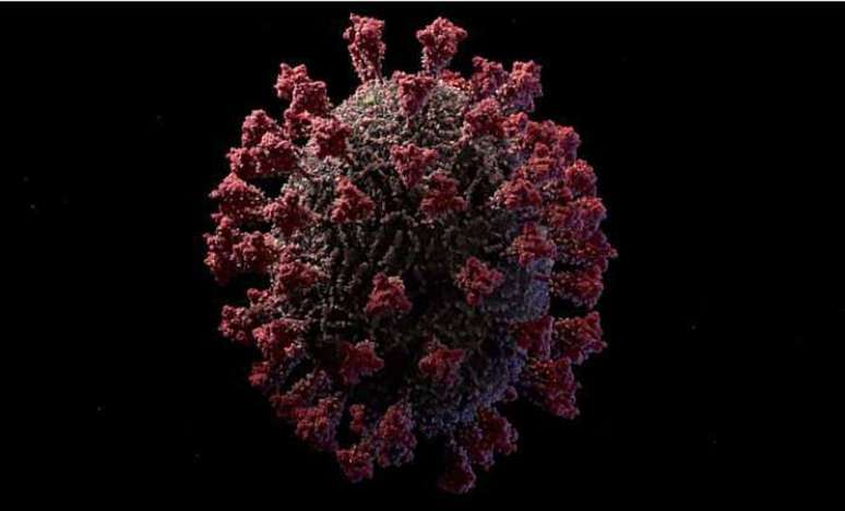 Modelo 3D do coronavírus criado pelo estúdio Visual Science.