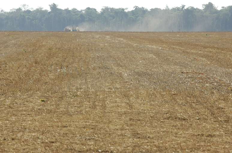 Fronteira entre área agrícola e floresta amazônia em Mato Grosso 
08/08/2005
REUTERS/Bruno Domingos