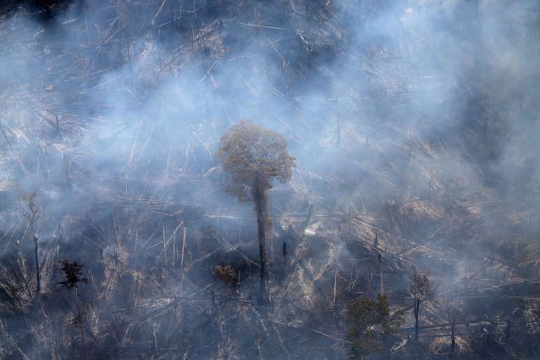 Vista aérea de queimada na floresta amazônica no Pará em setembro do ano passado
26/09/2019
REUTERS/Ricardo Moraes
