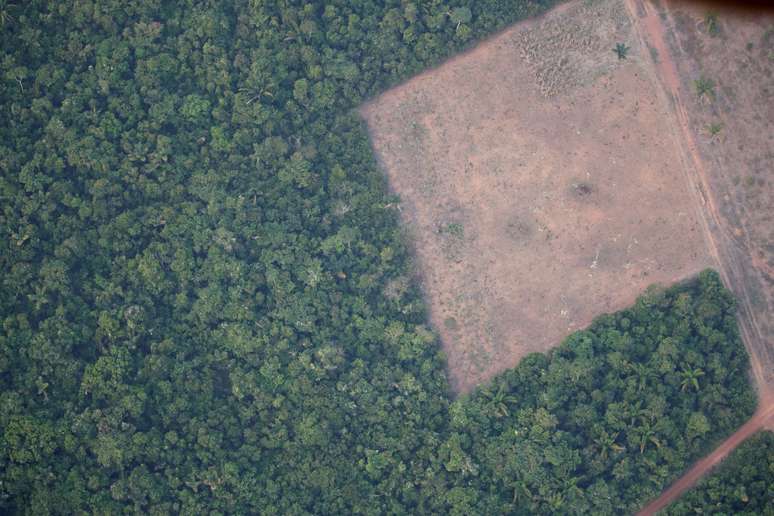 Vista aérea de área desmatada perto de Porto Velho
21/08/2019
REUTERS/Ueslei Marcelino