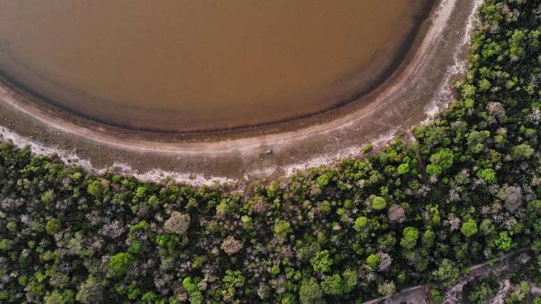 Nos últimos anos, Pantanal vem enfrentando dificuldades como a expansão do agronegócio e a redução gradual das inundações do bioma