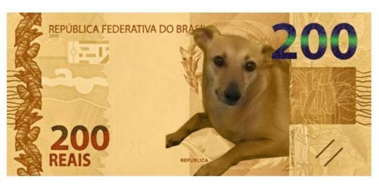 Banco Central nega nota de R$ 200 com vira-lata caramelo mas