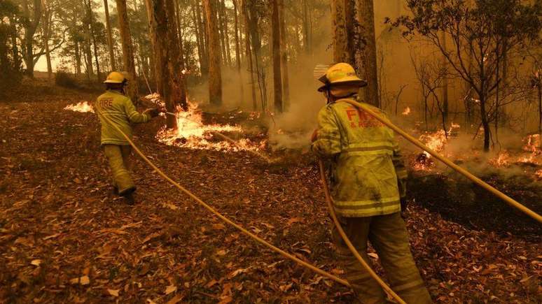 No final de 2019 e no início deste ano, a Austrália passou por uma onda de calor extrema que causou milhares de incêndios florestais