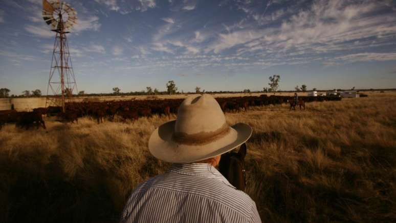A digest&atilde;o do gado libera g&aacute;s metano, mas uma mudan&ccedil;a na dieta do animal pode reduzir seu impacto ambiental