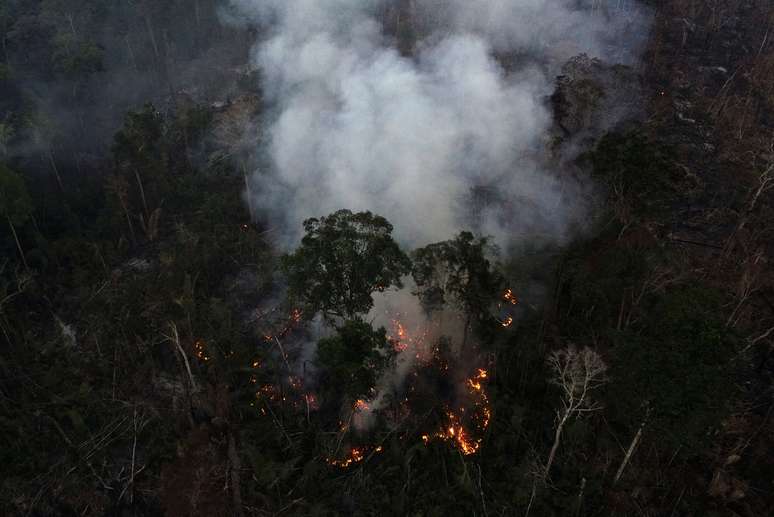 Árvores em chamas na floresta amazônica em Apuí (AM)
08/10/2020
REUTERS/Ueslei Marcelino