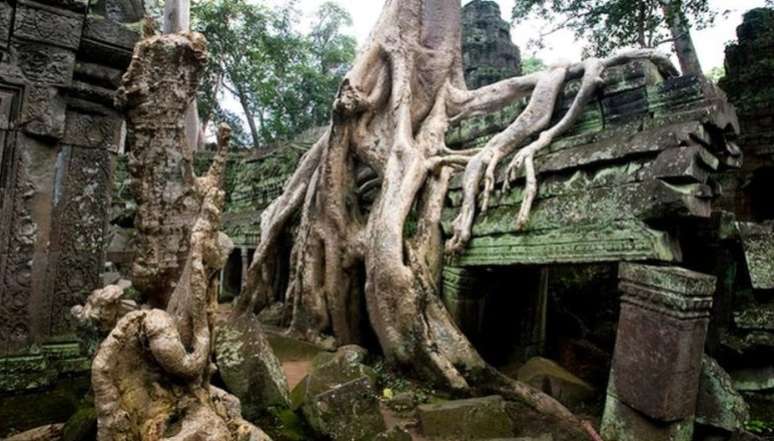 Árvores e raízes ocuparam o templo Ta Prohm no Camboja