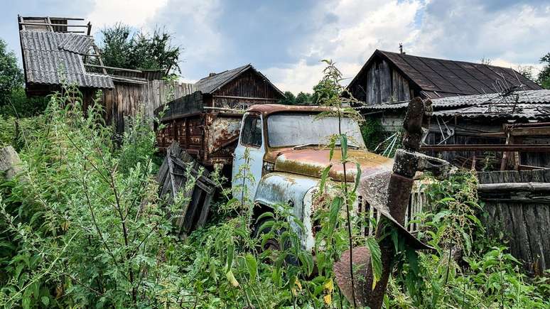 Muitas zonas de Chernobyl agora estão cheias de vegetação