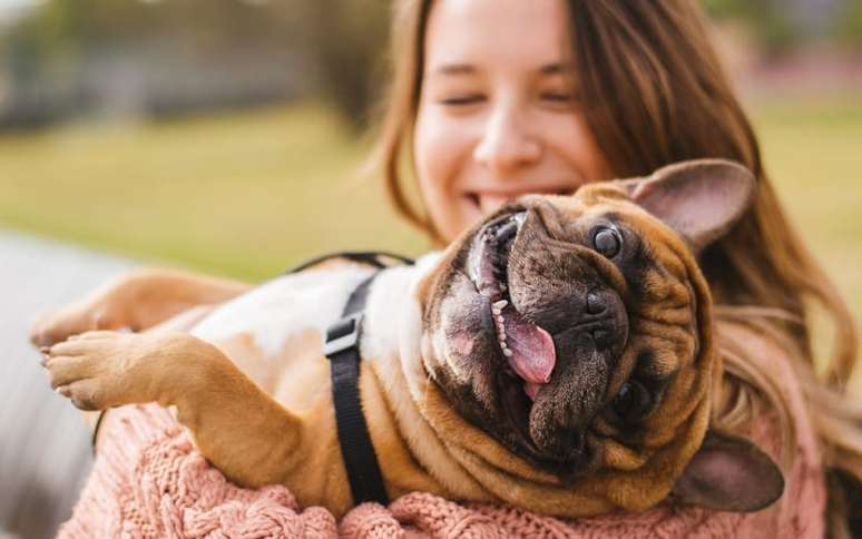 Descubra qual é a raça de cachorro de cada signo e sua personalidade