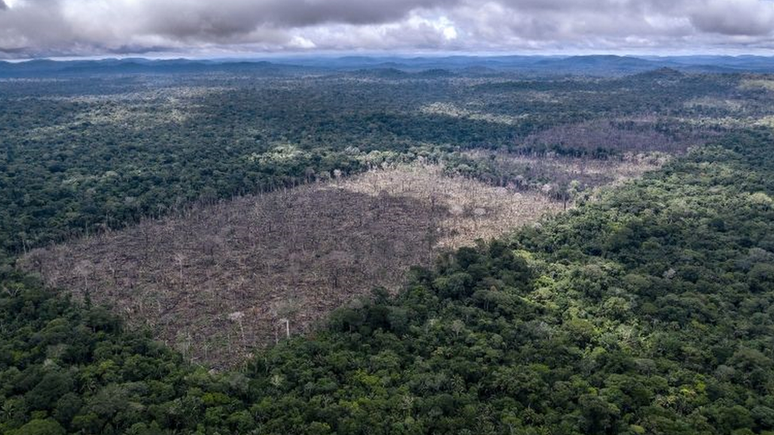 Desmatamento da Amazônia (acima, em foto de julho da ONG WWF) é um dos mais temidos gatilhos para novas pandemias no futuro