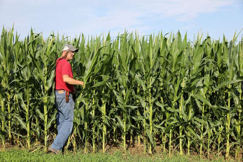 Agricultor checa plantio de milho em Grand Junction, Iowa (EUA) 
05/07/2018
REUTERS/Scott Morgan