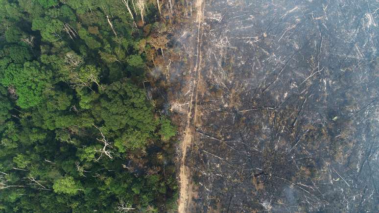 Vista de queimada em área desmatada da Amazônia na região de Apuí (AM) 
11/08/2020
REUTERS/Ueslei Marcelino