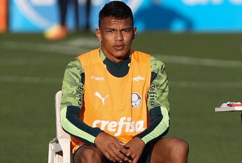 Veron está em fase final de recuperação (Cesar Greco/Agência Palmeiras)