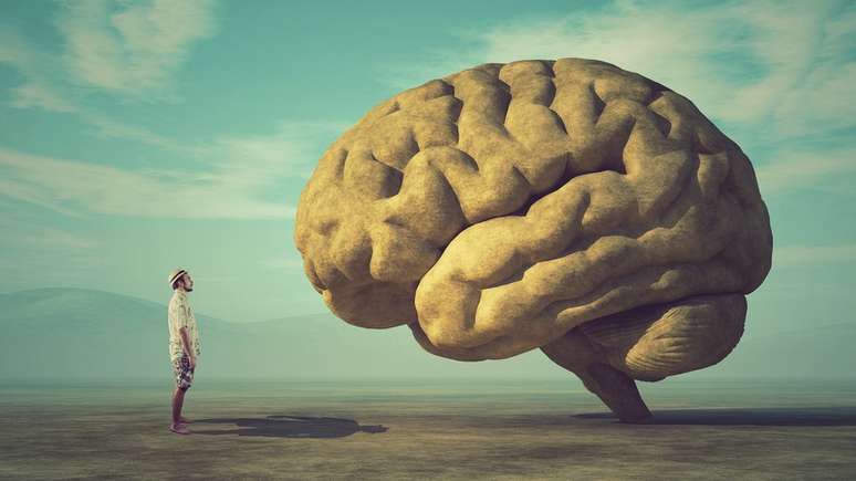 A expans&atilde;o do c&eacute;rebro humano for&ccedil;ou um encurtamento do trato digestivo, levando &agrave; transi&ccedil;&atilde;o a uma dieta mais carn&iacute;vora