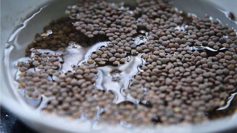 Dizer que "as lentilhas t&ecirc;m muito ferro" &eacute; uma meia verdade