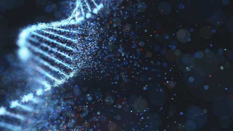 Talvez existam seres que funcionam de uma maneira muito diferente da que conhecemos