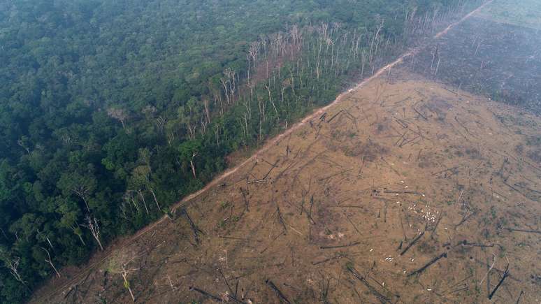 Vista geral de área desmatada da floresta amazônica perto de Apuí (AM)
11/08/2020
REUTERS/Ueslei Marcelino