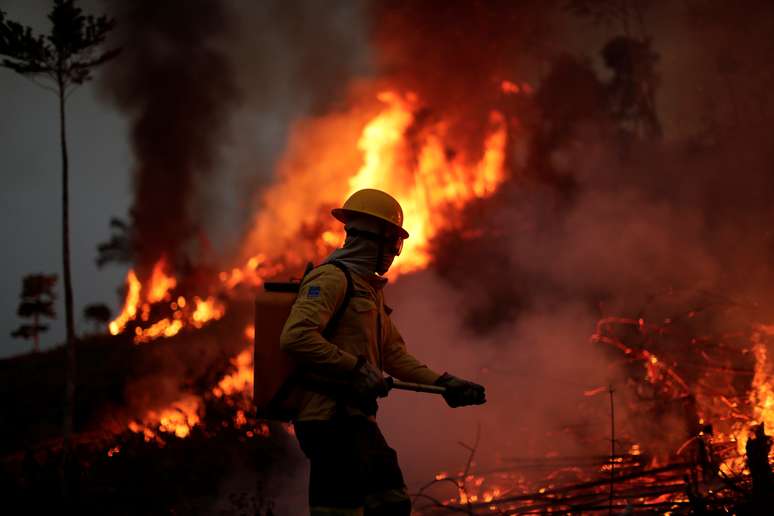 Bombeiro combate foco de incêndio na floresta amazônica, em Apuí (AM)
11/08/2020
REUTERS/Ueslei Marcelino