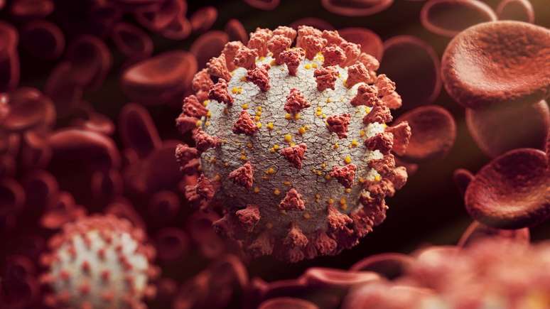 A vacina ainda precisa demonstrar sua efic&aacute;cia contra o SARS-CoV-2