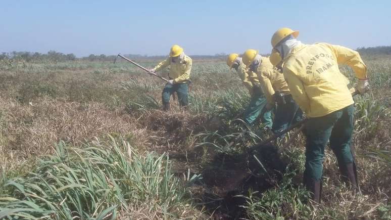 Os aceiros são uma das estratégias usadas pelas brigadas para tentar barrar o avanço do fogo