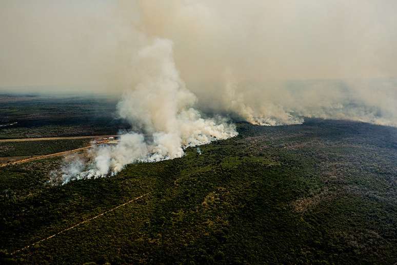 Pantanal vive pior temporada de queimadas em décadas