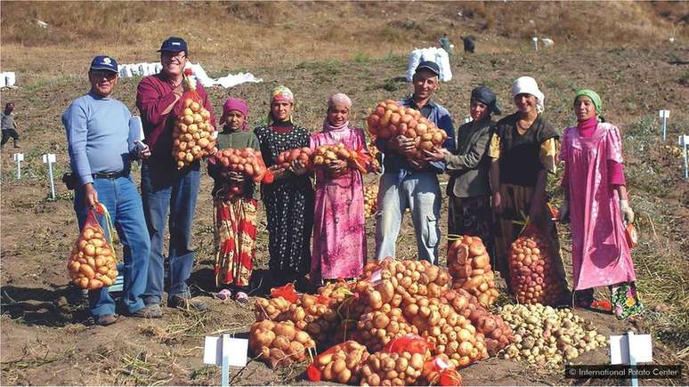 No Tajiquistão, as comunidades locais também adotaram a batata como um dos seus alimentos regionais