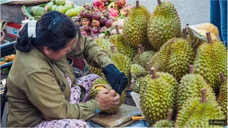 A fruta durião, famosa por seu odor repugnante, poderia fornecer o material para fazer uma nova geração de supercapacitores