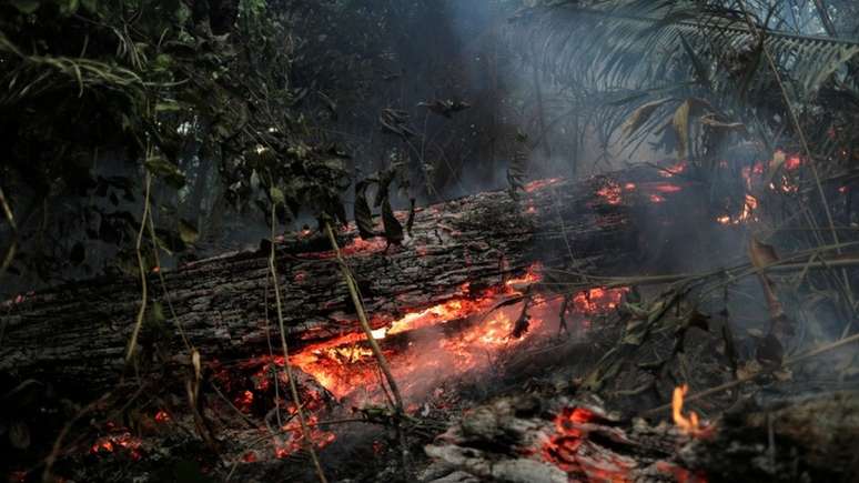 Projeto sobre desmatamento é debatido entre ambientalistas e representantes do agronegócio