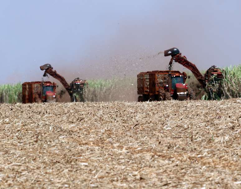 Colheita de a&ccedil;&uacute;car em Prad&oacute;polis (SP) 
13/09/2018
REUTERS/Paulo Whitaker