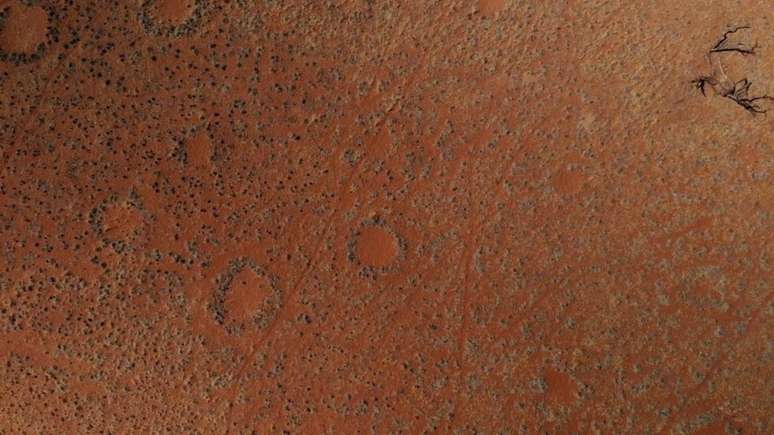 Os &lsquo;c&iacute;rculos de fadas&rsquo; s&atilde;o trechos circulares de terra sem vegeta&ccedil;&atilde;o, que pontilham o deserto