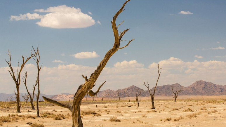 As temperaturas no deserto chegam a 45&deg;C no ver&atilde;o durante o dia, podendo cair para abaixo de zero &agrave; noite