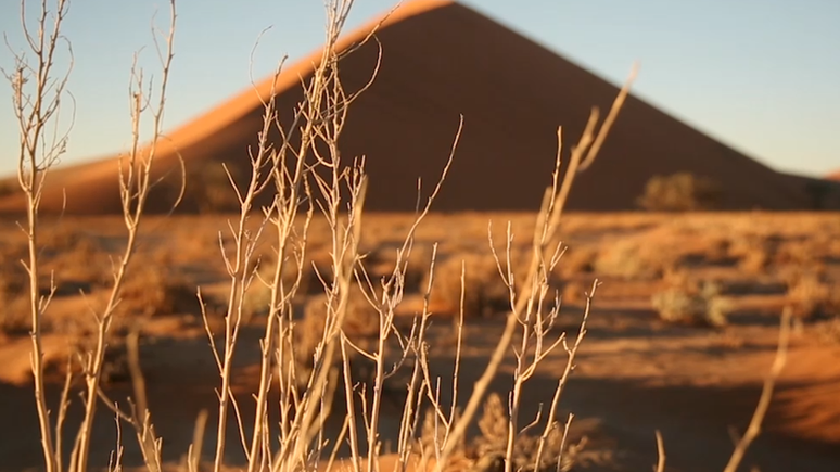 O deserto do Nam&iacute;bia &eacute; um dos mais secos do mundo