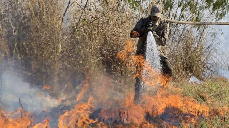 Bombeiro apaga incêndio no Pantanal; bioma já tem recorde de queimadas neste ano