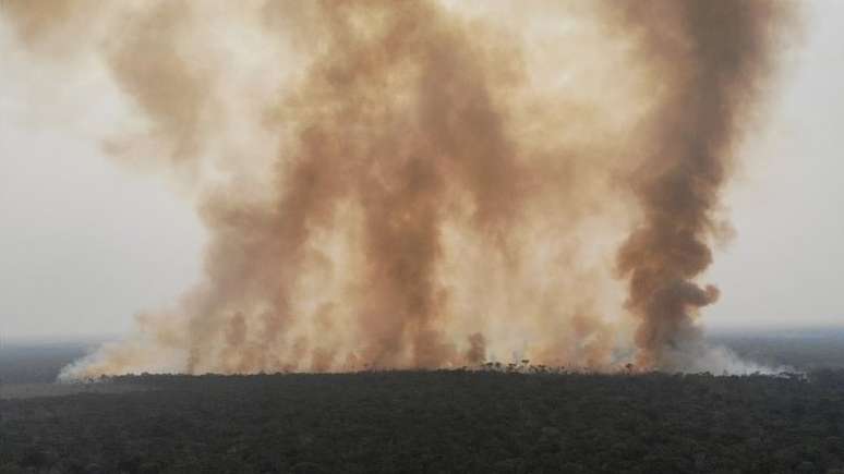 Incêndio no Amazonas; desmatamento na Amazônia já é 34% maior este ano, na comparação com o passado